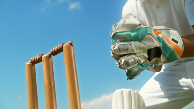 The Impact of IPL on Cricket Sports Governance