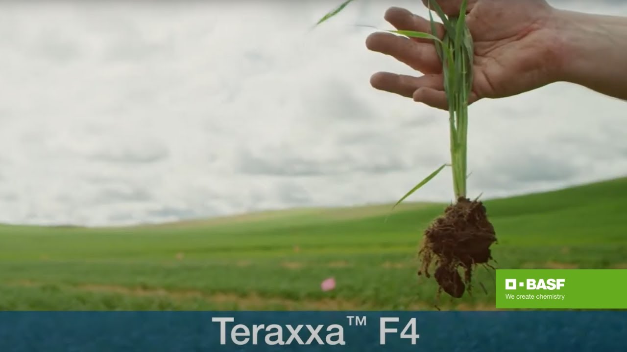 Understanding the Power of an Online Cricket ID: Opportunities, Security, and the Role of Reddyd​ybook Platforms